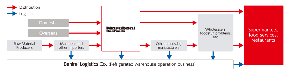 Flow of commercial and logistics systems