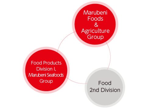 Marubeni Group Network